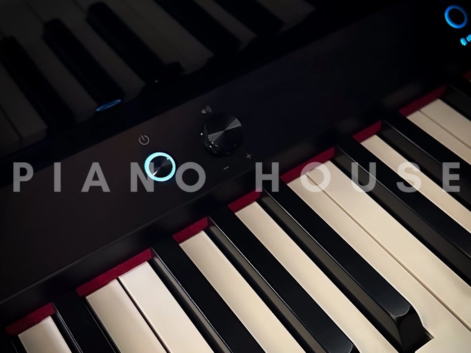 Chi tiết đàn ROLAND GP-9 PE (USED) - Hình 4